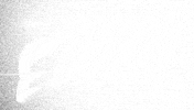 Fight Shut Up GIF by Golden Wolf