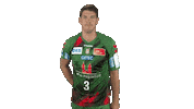Handball-Bundesliga Handball Sticker by LIQUI MOLY HBL