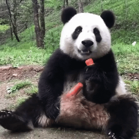 johnnyfranklind2bd giphyupload GIF