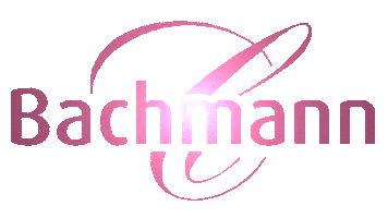 bachmannconfiserie switzerland schweiz macaron kuchen Sticker