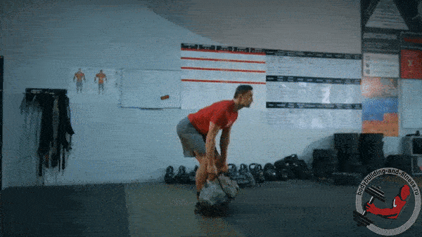 bodybuilding-and-fitness giphyupload GIF