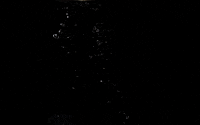 pop popcorn kernel GIF by TED