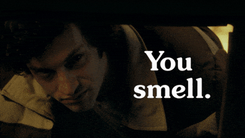 You Smell GIF by Focus Features