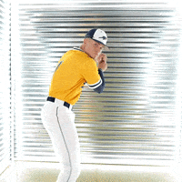 Toledo Baseball GIF by Toledo Rockets
