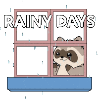 Bitcoin Rain Sticker by Ordinary Frends