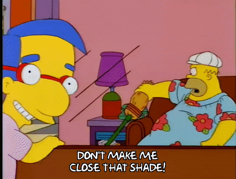 homer simpson GIF