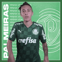 Happy Futebol Feminino GIF by SE Palmeiras