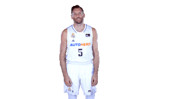 Real Madrid Basketball Sticker by ACB