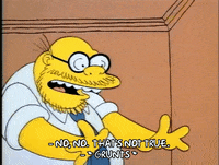 Season 1 GIF by The Simpsons