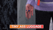 Snl GIF by Saturday Night Live