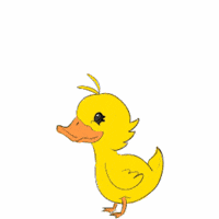 Surpriseeeee GIF