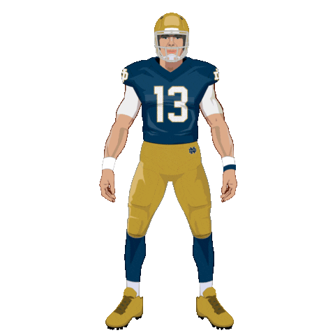 Luck Of The Irish Football Sticker by Panini America