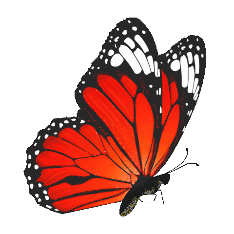 elistorycriativo butterfly elistorycriativo borboleta Sticker