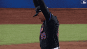 Baseball Mlb GIF by New York Mets