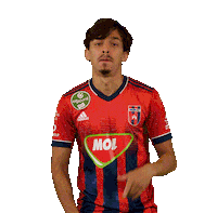 Football Vidi Sticker by MOL Fehérvár FC