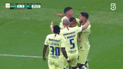 Celebration GIF by Club America