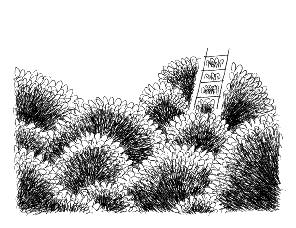 davidm_co giphyupload GIF