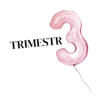 budenasvic mama miminko tehotenstvi tehotna Sticker