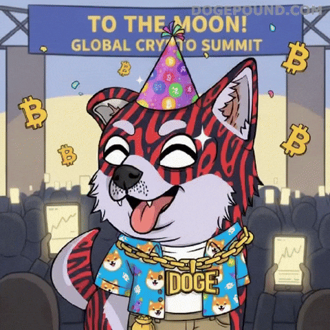Happy Lets Go GIF by Doge Pound