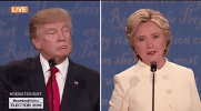 GIF by Alex Bedder