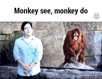 monkey GIF