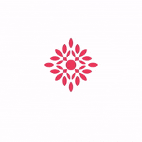 GIF by Multicultural Center Brusinka