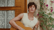 Summer Of Love GIF by Shawn Mendes