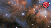 Stars Glowing GIF by ESA/Hubble Space Telescope
