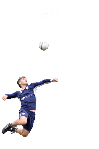 ifafistball giphyupload winterthur faustball fistball Sticker