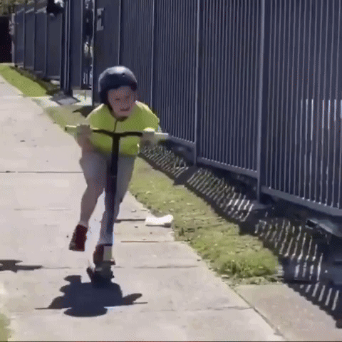 The Australian Magpie