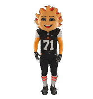 FiestaBowl football party celebrate sun Sticker
