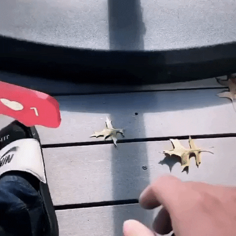 Trending Love GIF by 4 Lil Larry
