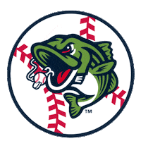 Sticker by Gwinnett Stripers