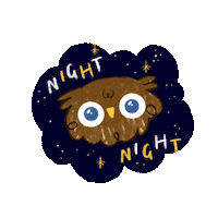 lupeaart stars night goodnight owl Sticker