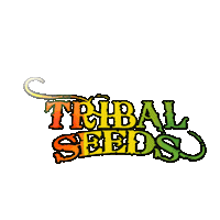 bob marley reggae Sticker by Tribal Seeds