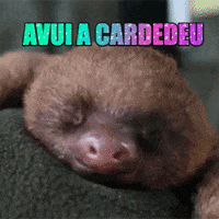 culturacardedeu culturacardedeu GIF