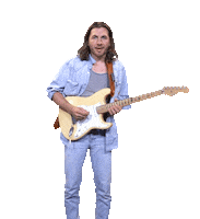 UniversalMusicDE vintage australia guitar shoot Sticker