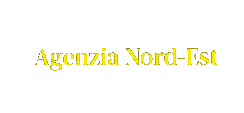 agenzianordest giphyupload Sticker