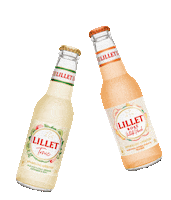 Ready To Drink Summer Sticker by lilletofficial