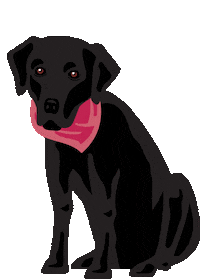 Dog Labrador Sticker