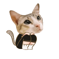 Cat Sticker