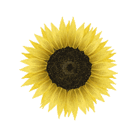 Loop Flower Sticker