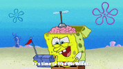episode 1 whirly brains GIF by SpongeBob SquarePants