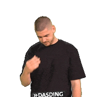 Face Facepalm Sticker by DASDING