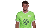 Happy Champions League Sticker by VfL Wolfsburg