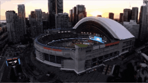 Canadian Summer GIF by Toronto Blue Jays