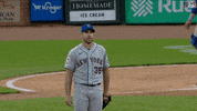 Celebrate Major League Baseball GIF by New York Mets