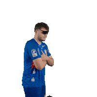 Handball Sticker by bergischerhc06