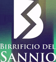 GIF by Birrificio del Sannio