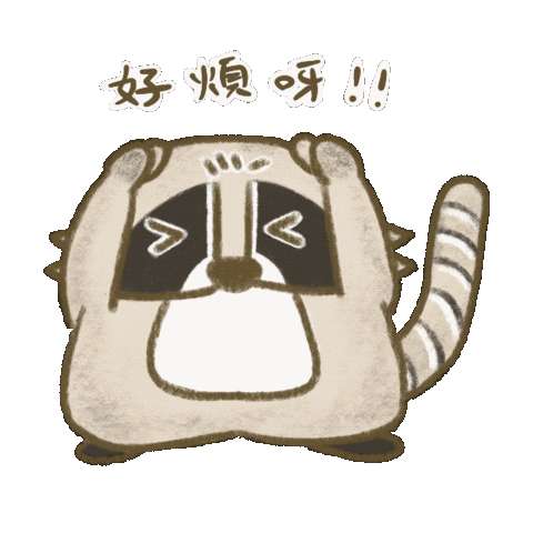 Hong Kong Raccoon Sticker